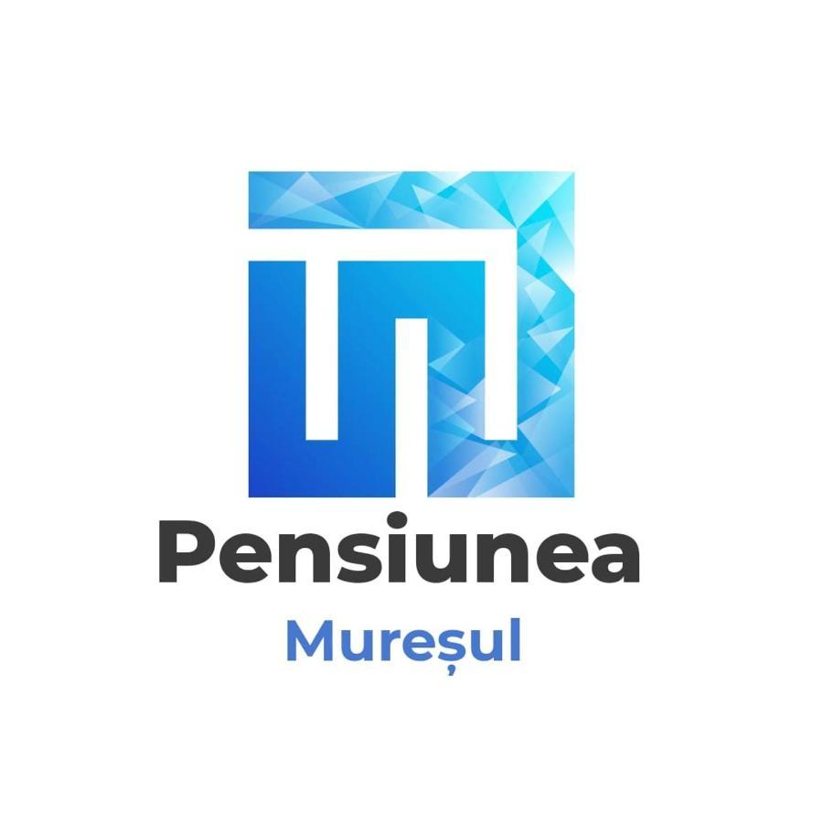 Pensiunea Muresul Targu Mures Exterior photo